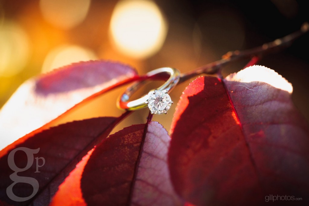 Steve Renee s Meyer Ranch Park Engagement in Conifer  CO  