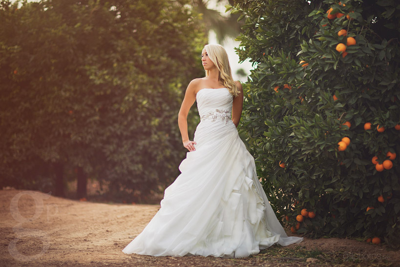 Stylized Bridal  Shoot in Mesa  AZ Top Colorado Mountain 