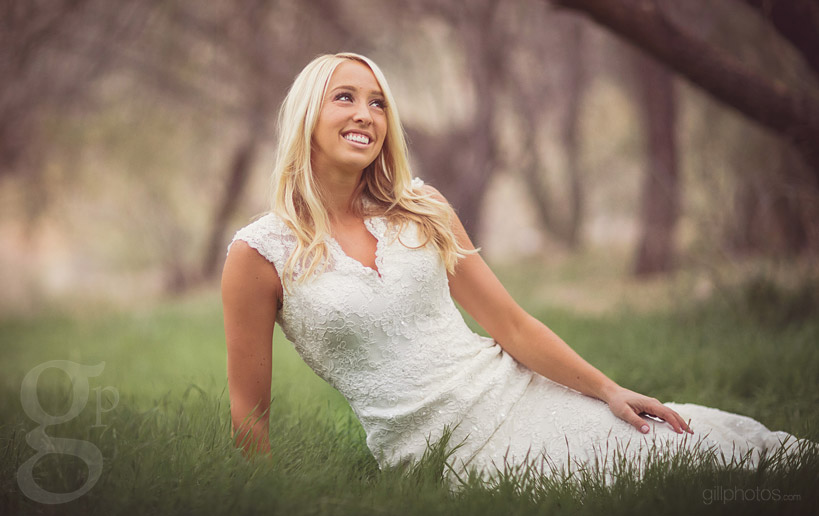 Stylized Bridal  Shoot in Mesa  AZ Top Colorado Mountain 