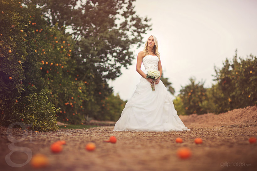 Stylized Bridal  Shoot in Mesa  AZ Top Colorado Mountain 