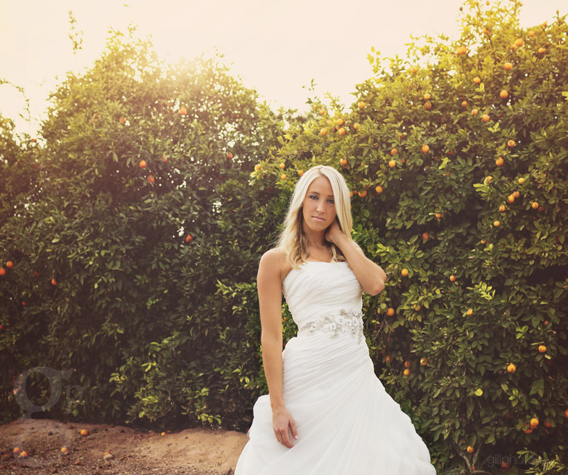 Stylized Bridal Shoot in Mesa, AZ - Top Colorado Mountain ...