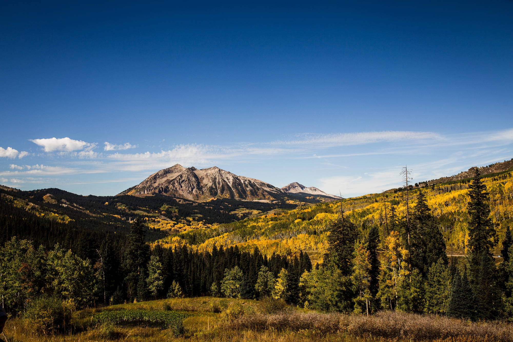 wedding_crested_butte_0604
