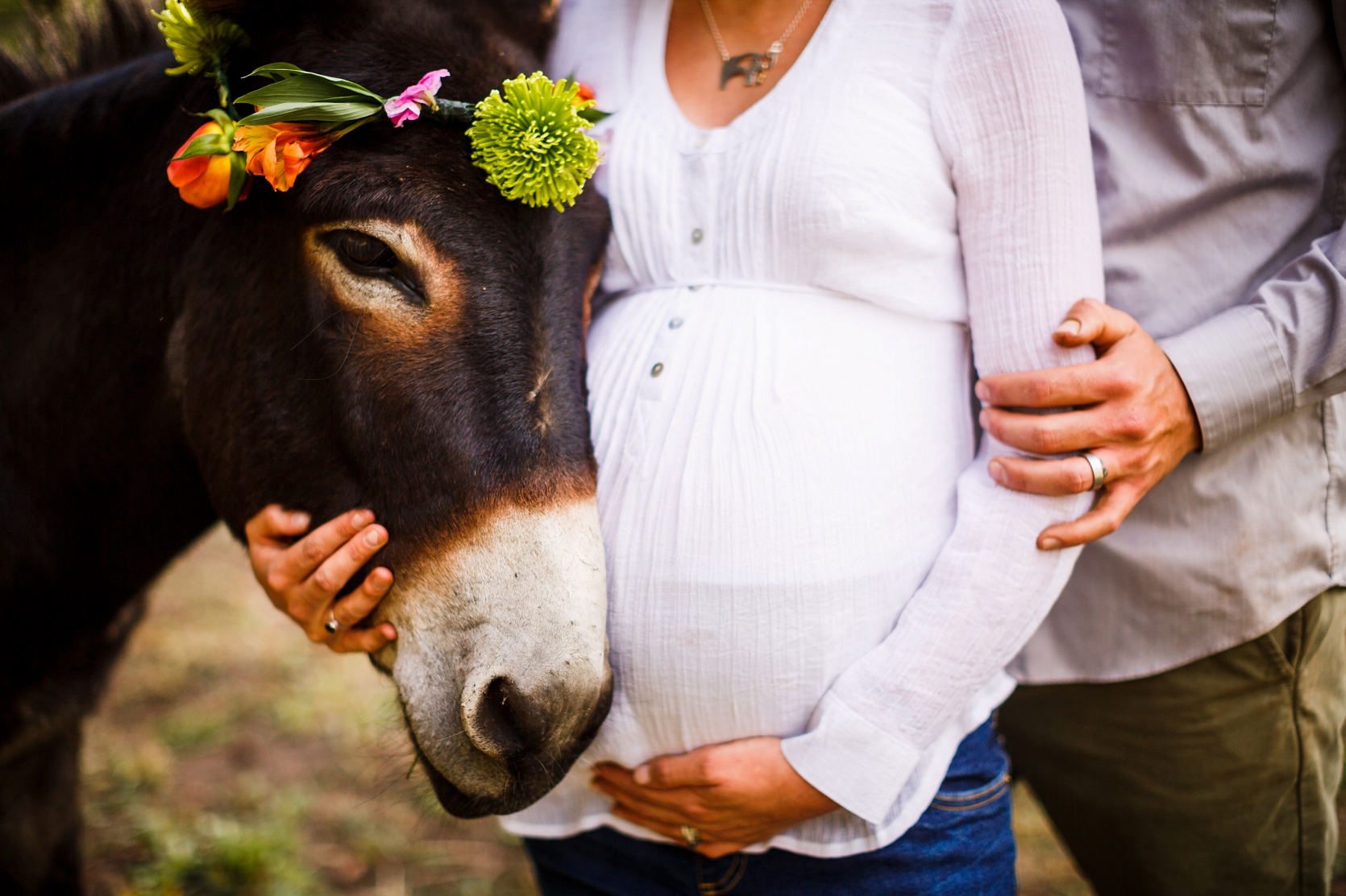 Golden_Maternity Session_0005