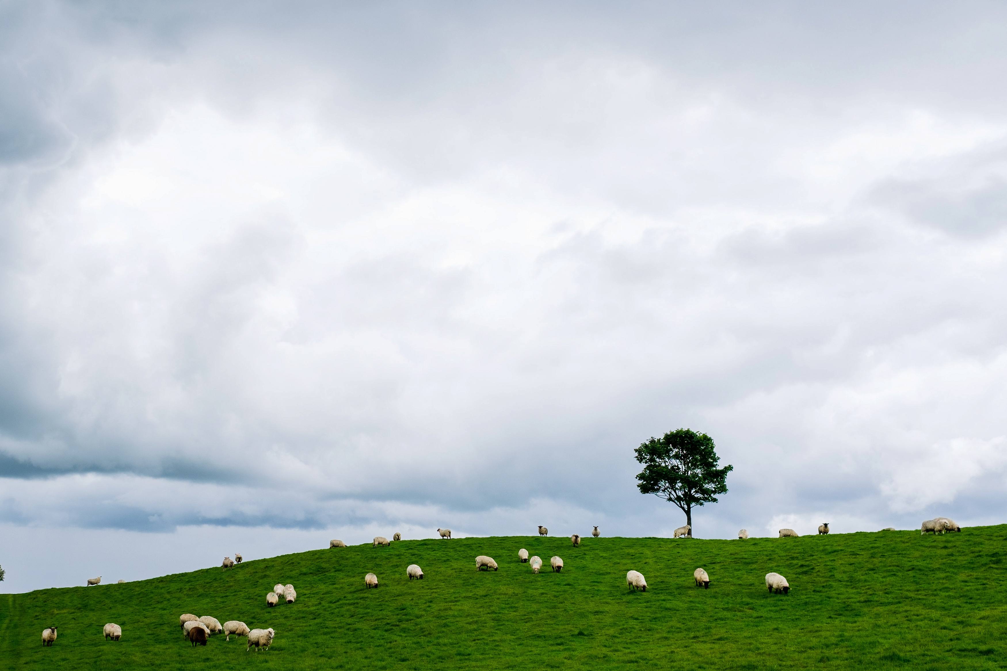 Ireland Country Side