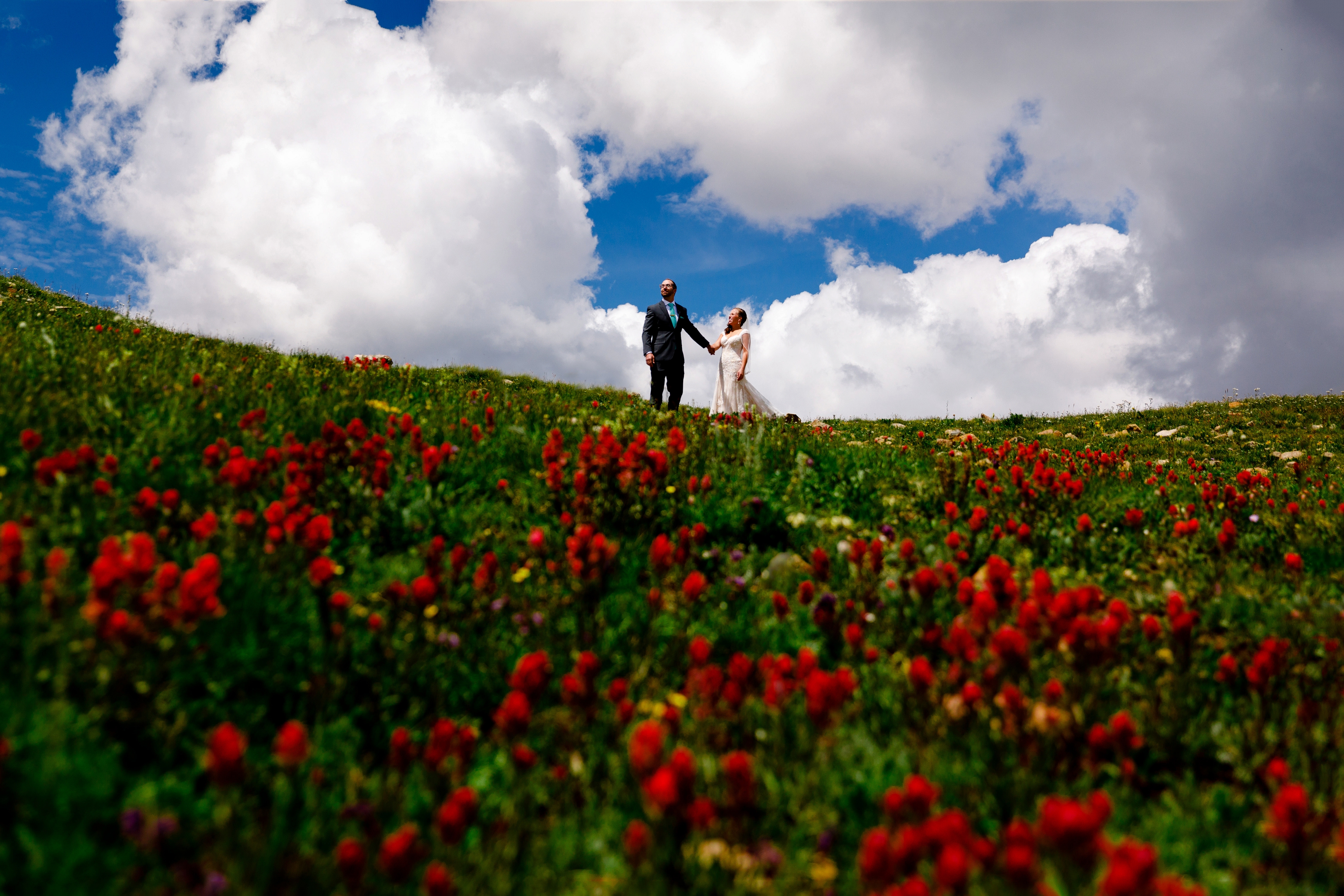 Loveland Pass wedding photo of beautiful wild flowers.