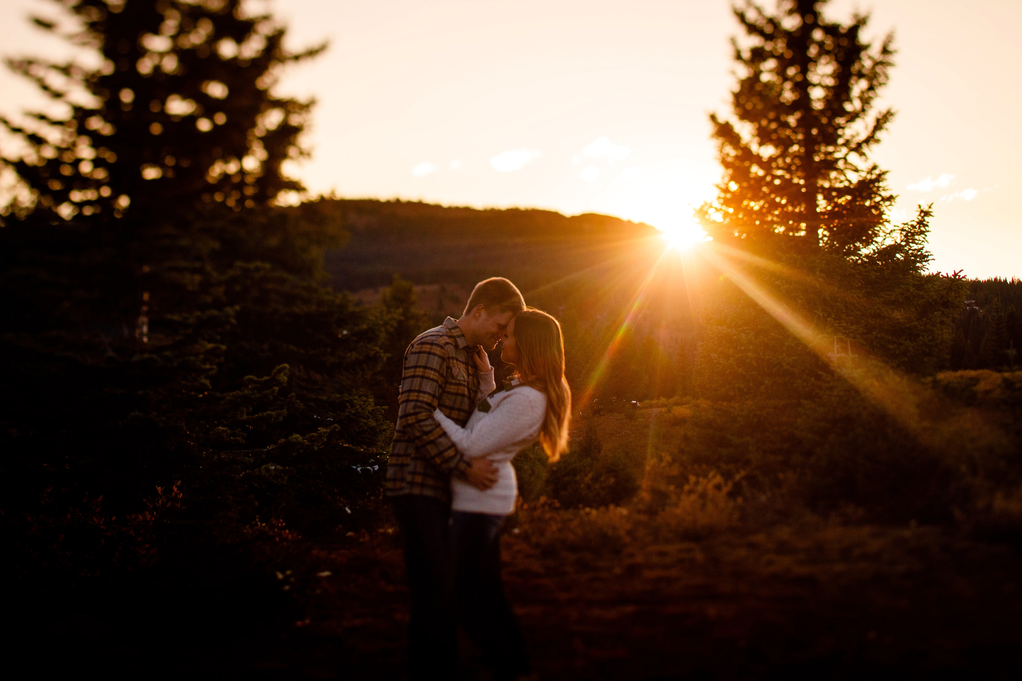 A photo from their Shrine Pass Engagement session.