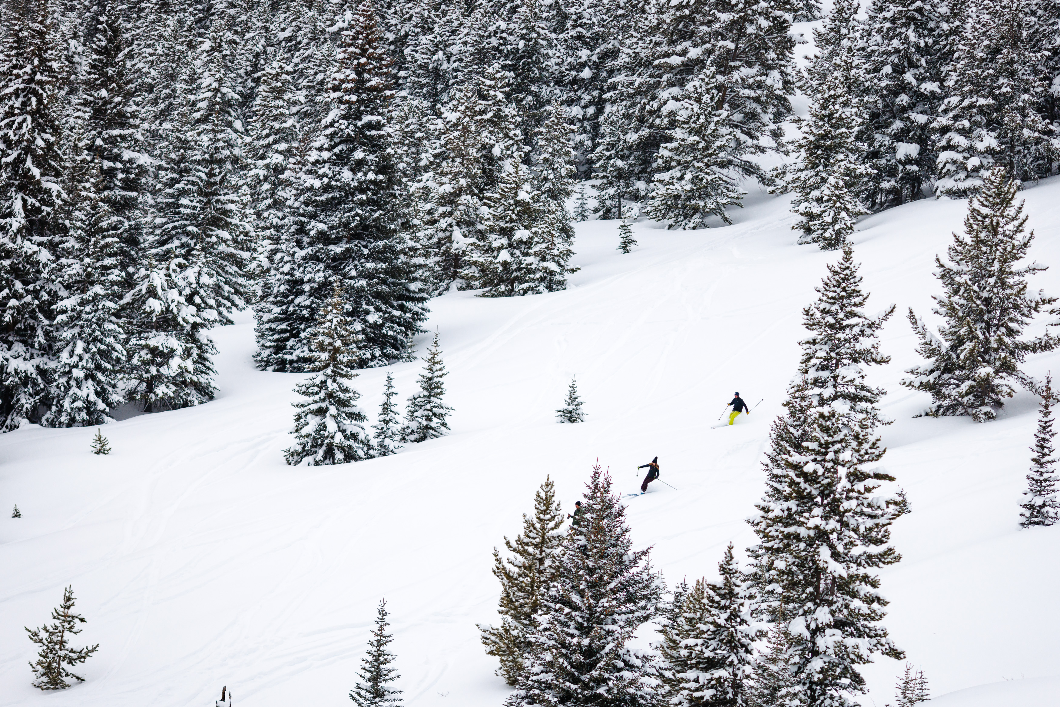 The newly engaged couple skiing in powder near Shrine Pass for their engagement session in Colorado.