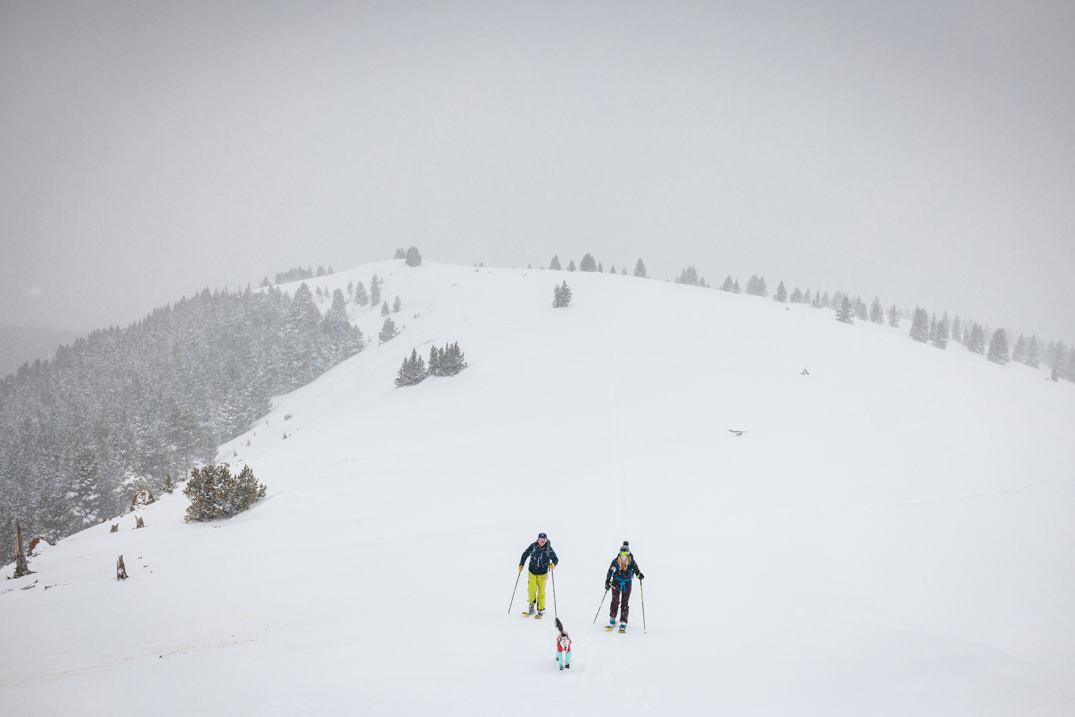 A couple skinning up a mountain for their backcountry engagement session on Shrine Pass.
